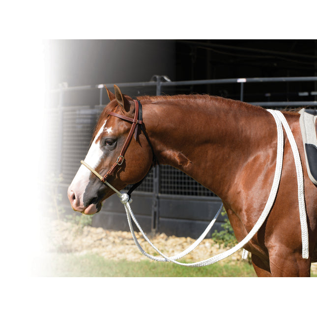 Professional's Choice Loping Hack Rawhide Nose