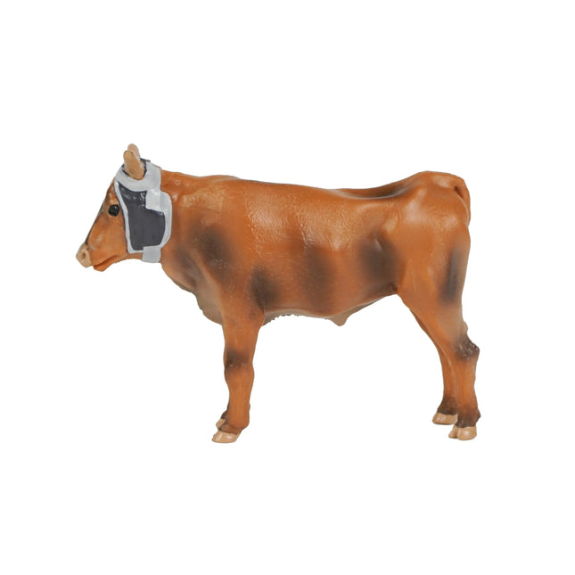 Roping Steer
