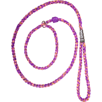 Cashel Braided Dog Leash Purple