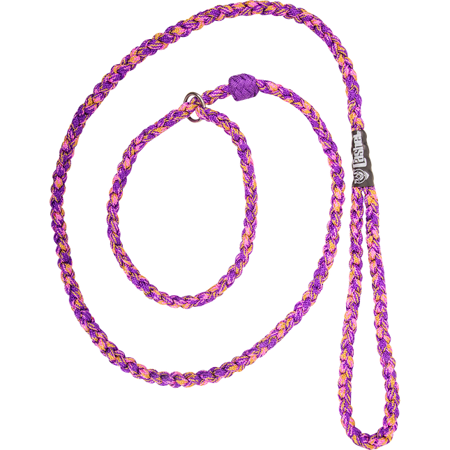 Cashel Braided Dog Leash Purple