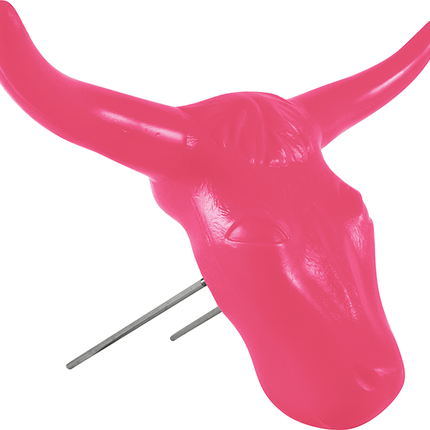 Classic Steer Head Pink