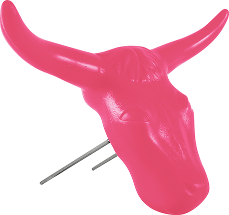 Classic Steer Head Pink