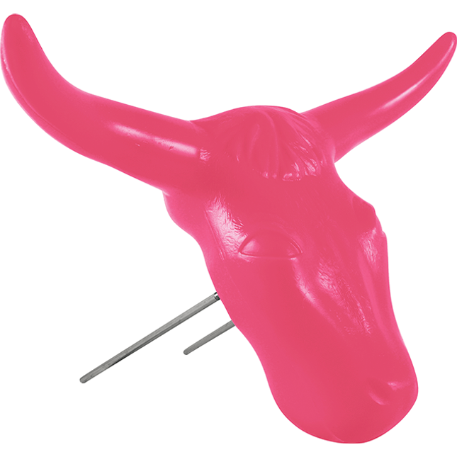 Classic Steer Head Pink