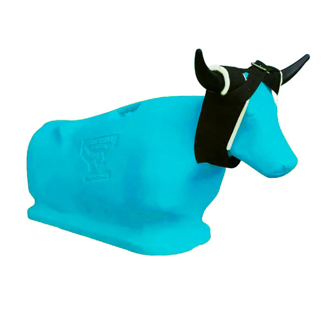7K Something Steer Turquoise