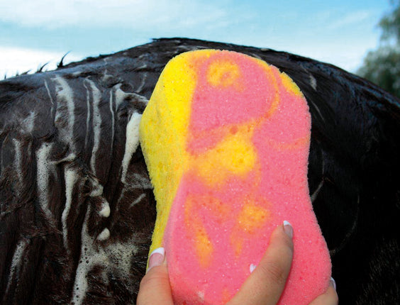 Tie Dye Sponge
