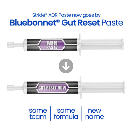 Gut Reset™ Paste (ADR Paste)