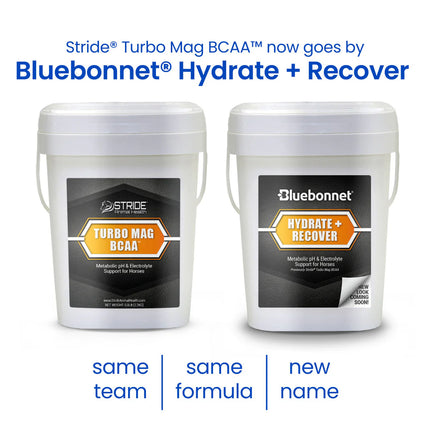 Hydrate + Recover™ (Turbo Mag BCAA)