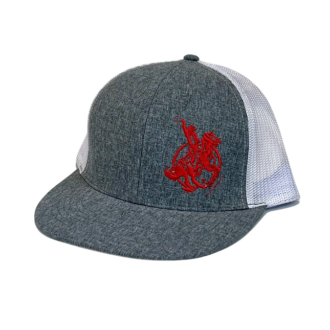 NSC Cap Grey and White Flat Bill