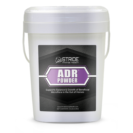 ADR Powder 5#