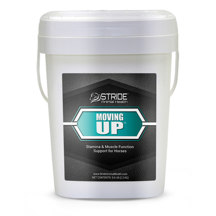 Muscle Recharge (Moving Up) 5#