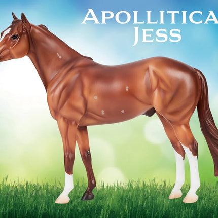 Apollitical Jess