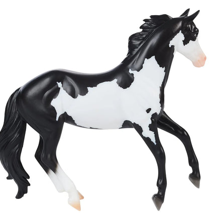 Black Frame Overo Stock Horse