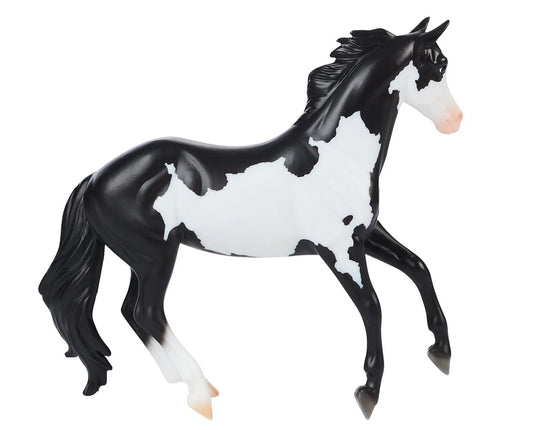 Black Frame Overo Stock Horse