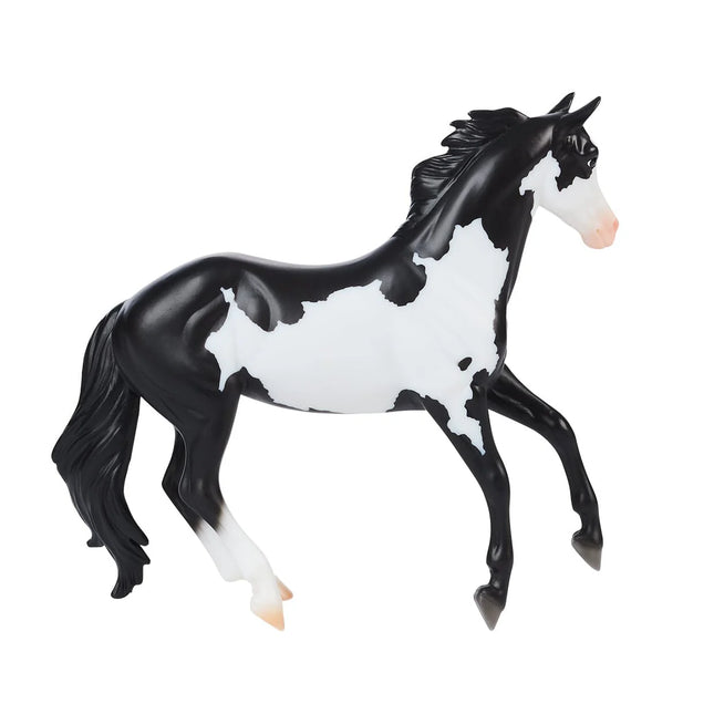 Black Frame Overo Stock Horse