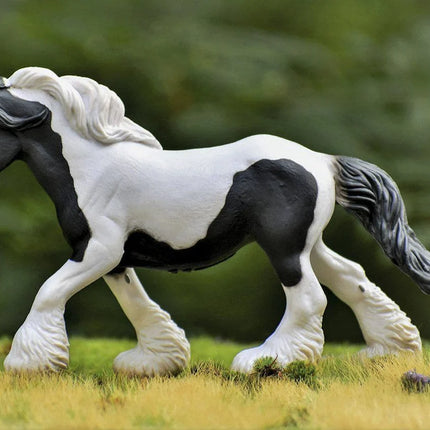 Black & White Piebald Gypsy Mare