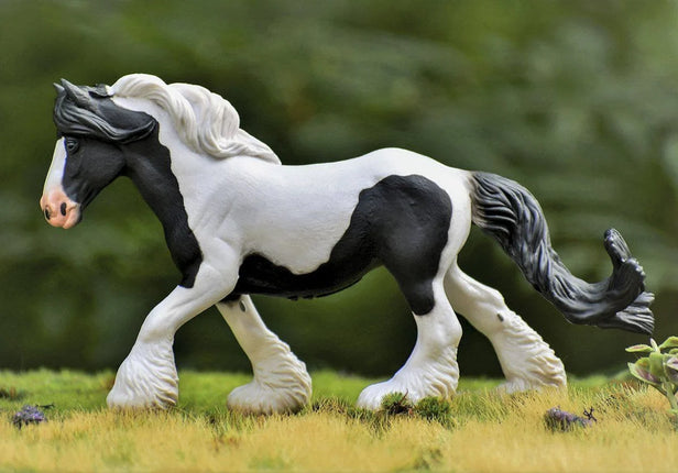 Black & White Piebald Gypsy Mare