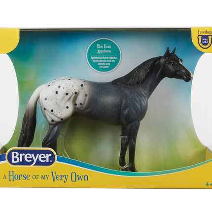 Blue Roan Appaloosa