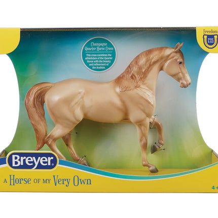 Champagne Quarter Horse Cross