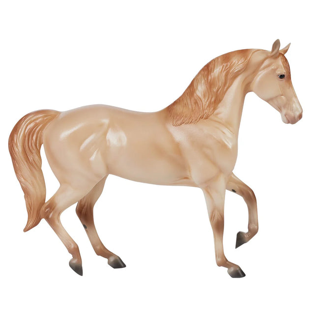 Champagne Quarter Horse Cross