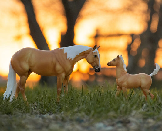 Ebony Shines & Foal