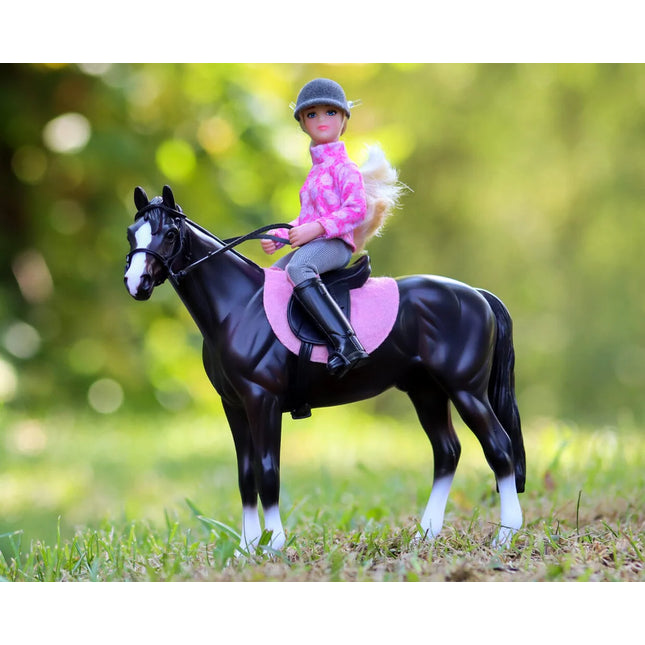 English Horse & Rider