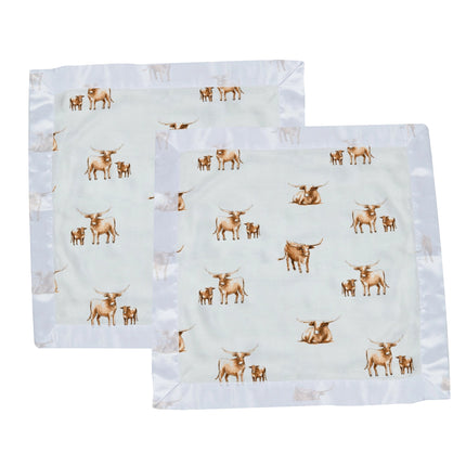 Longhorn Blankie