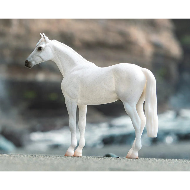 Fleabitten Grey Thoroughbred