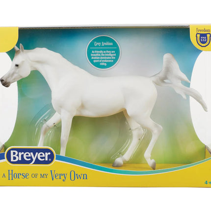 Grey Arabian