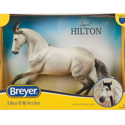 Jaguel Hilton Criollo Stallion