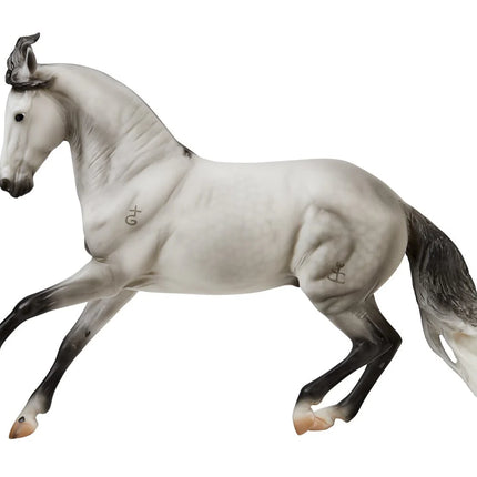 Jaguel Hilton Criollo Stallion