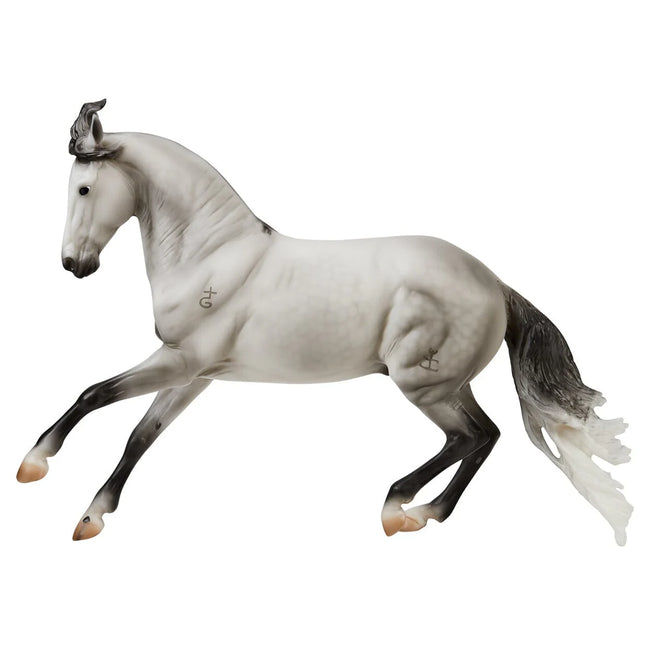 Jaguel Hilton Criollo Stallion