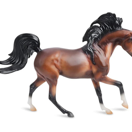 Mahogany Bay Arabian