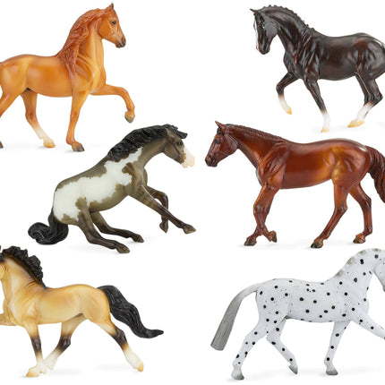 Mystery Horse Surprise