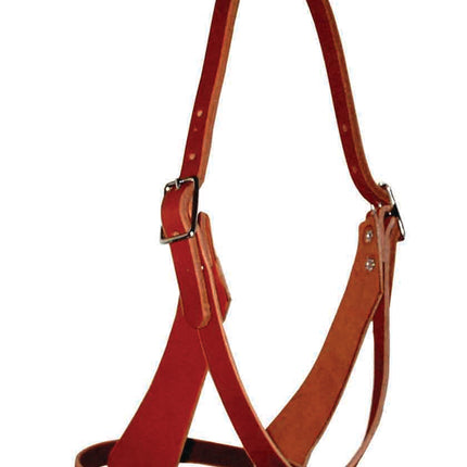 Figure 8 Halter