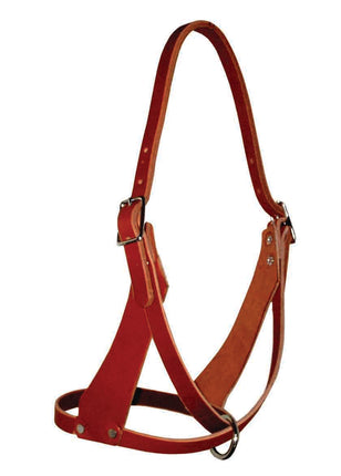 Figure 8 Halter