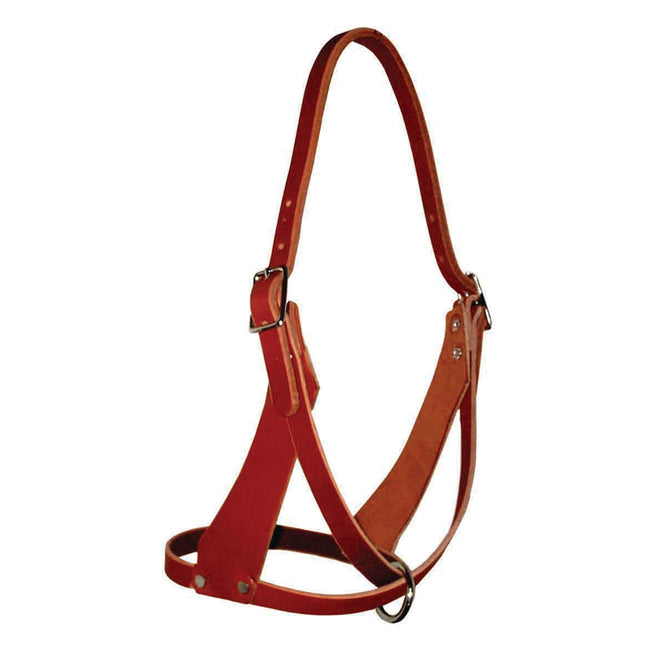 Figure 8 Halter
