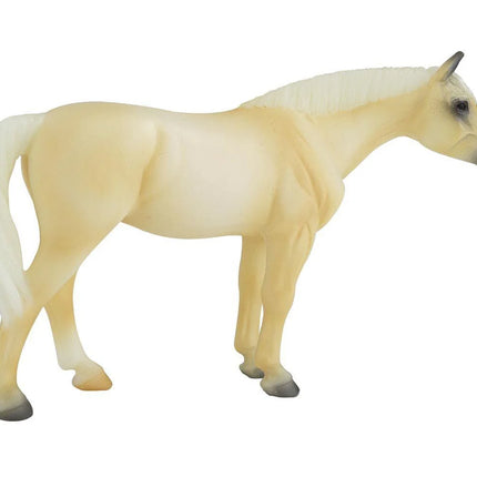 Pintos and Palominos Gift Set