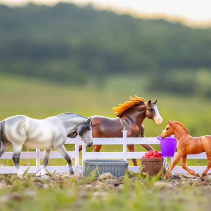 Playful Pony Family
