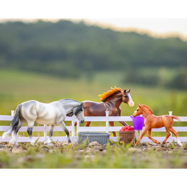 Playful Pony Family