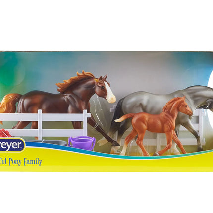 Playful Pony Family