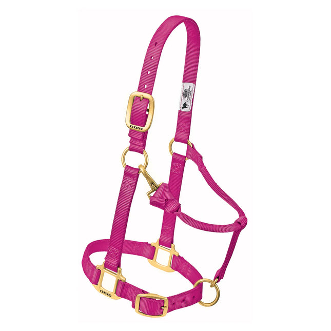 Weaver Adjustable Halter Average Raspberry
