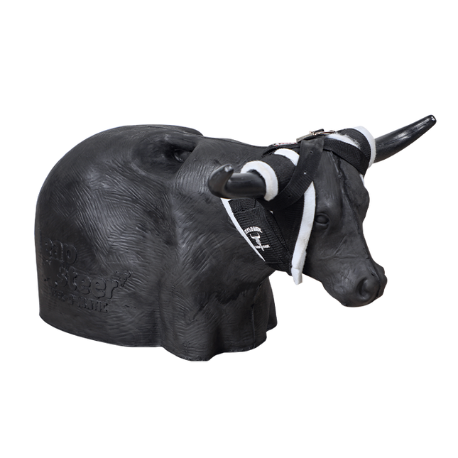 Leap Steer