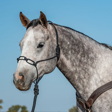 Classic Chain Link Rope Halter
