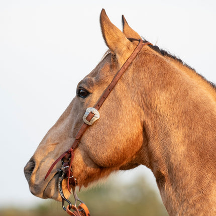 Martin Split Ear Headstall with Salinas Buckle