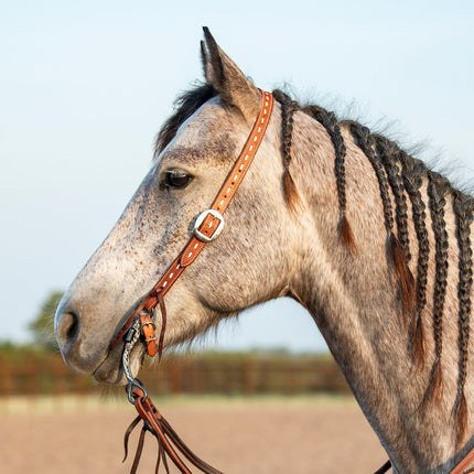 Martin Split Ear Headstall Ranahan Buckstitched