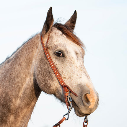 Martin Split Ear Headstall Ranahan Buckstitched