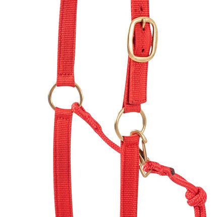 Nylon Rope Halter Red