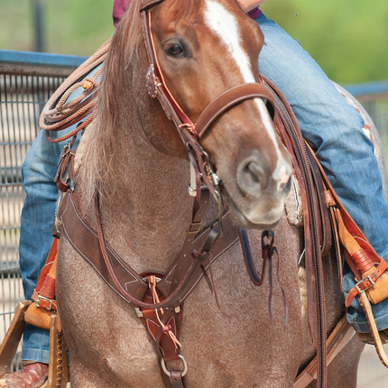 Martin 2 3/4" Chocolate Roughout Breastcollar