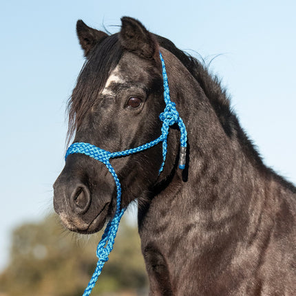 Cashel Flat Braid Pony Halter w/ Lead Blue