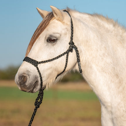 Cashel Flat Braid Pony Halter w/ Lead Black